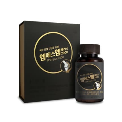 엠에스엠플러스2000
