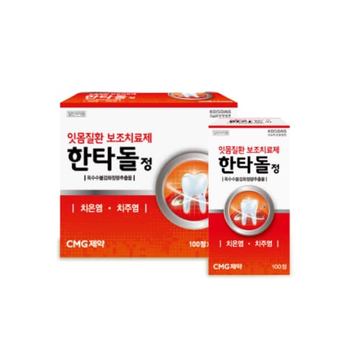 한타돌정