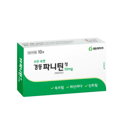 경동파니틴정