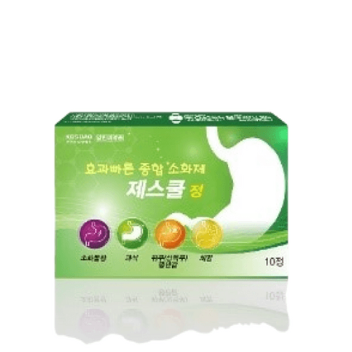 제스쿨정