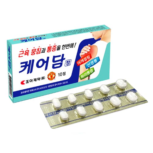 케어담정