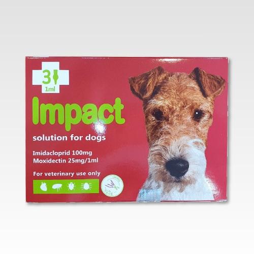 임팩트독 (4-10kg)