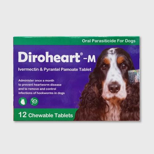 다이로하트 정 M (12-22kg)