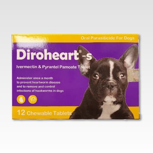다이로하트 정 S (5.6~11kg)
