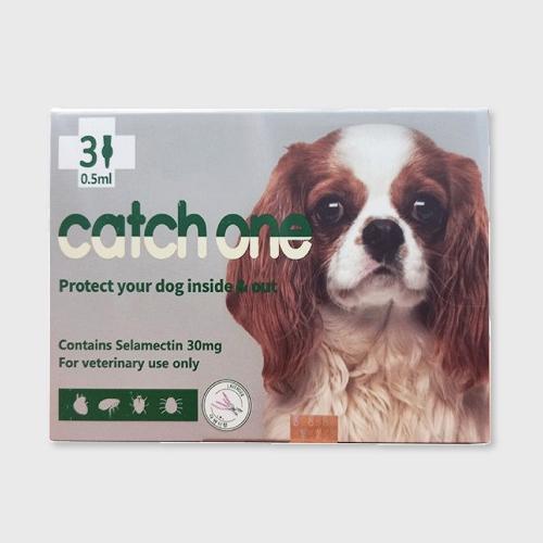 캐치원 소형 (2.5~5kg)