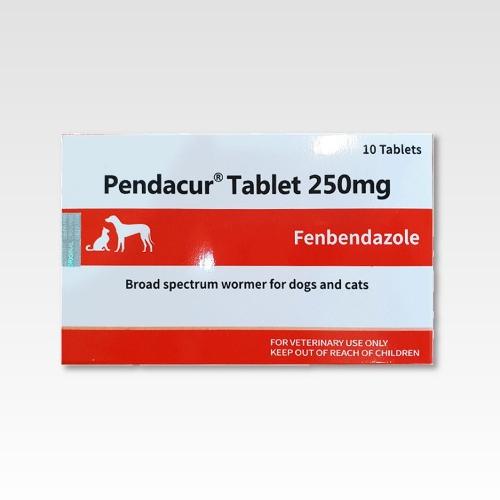 펜다쿠어정 250mg