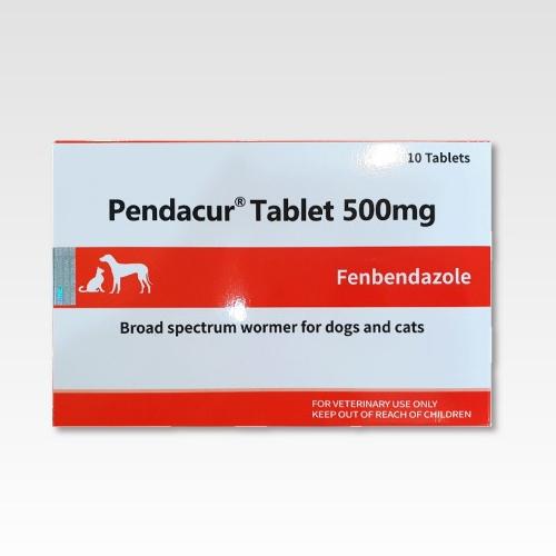 펜다쿠어정 500mg