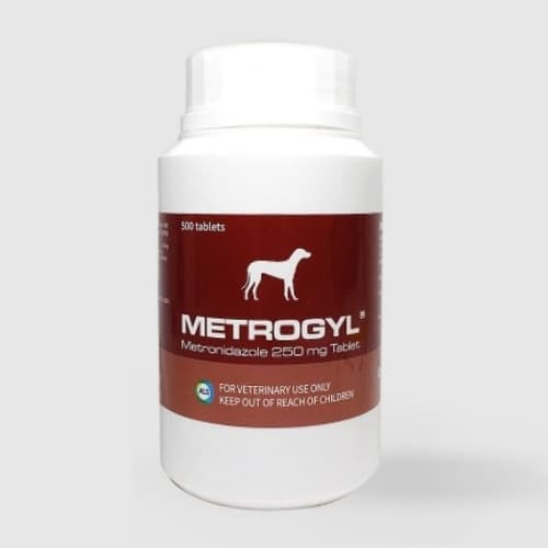 메트로질 250mg