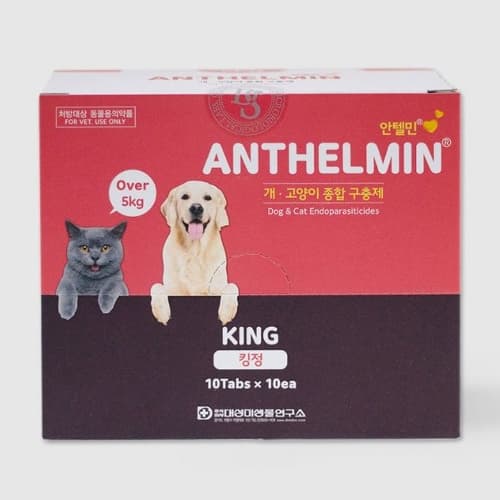 안텔민 킹 (5kg 이상)10+1