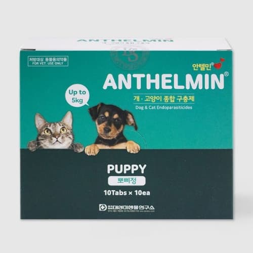 안텔민 뽀삐 (~5kg)10+1