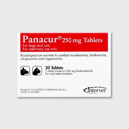 파나쿠어 정 250mg