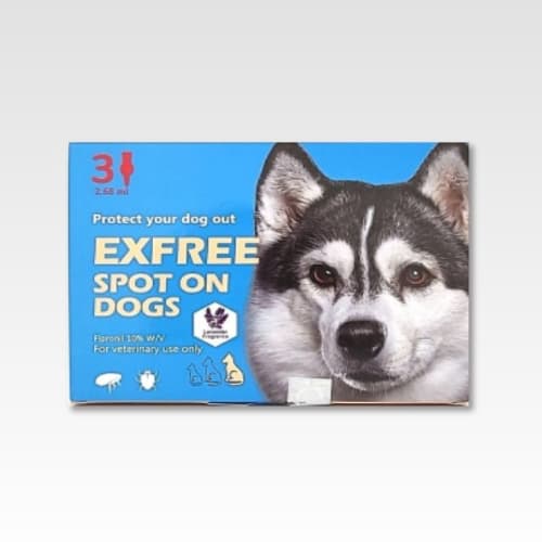 엑스프리 스팟온