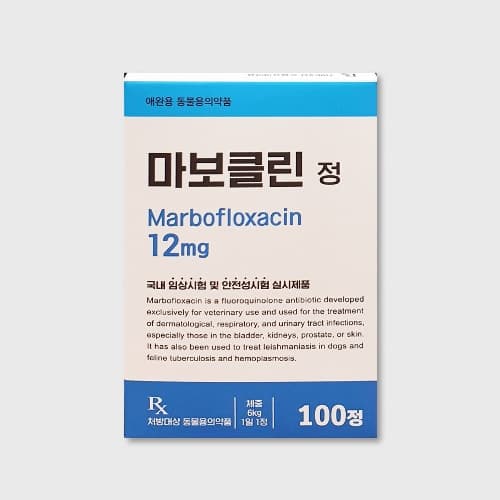 마보클린 정