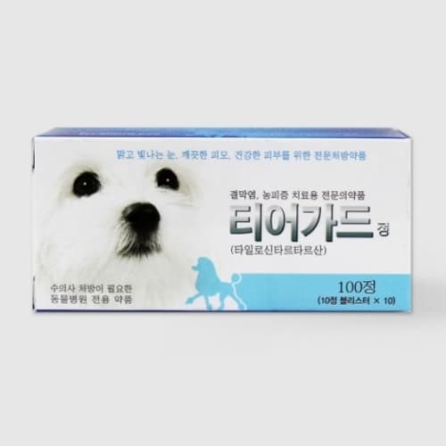 티어가드정