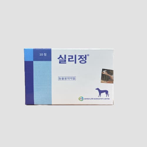 실리정