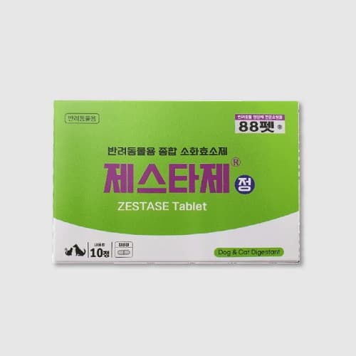 제스타제정
