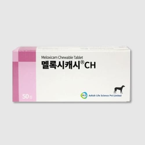 멜록시캐시 CH