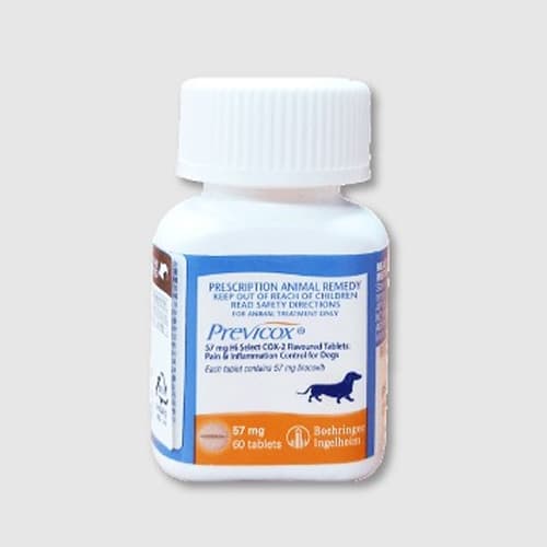 프레비콕스