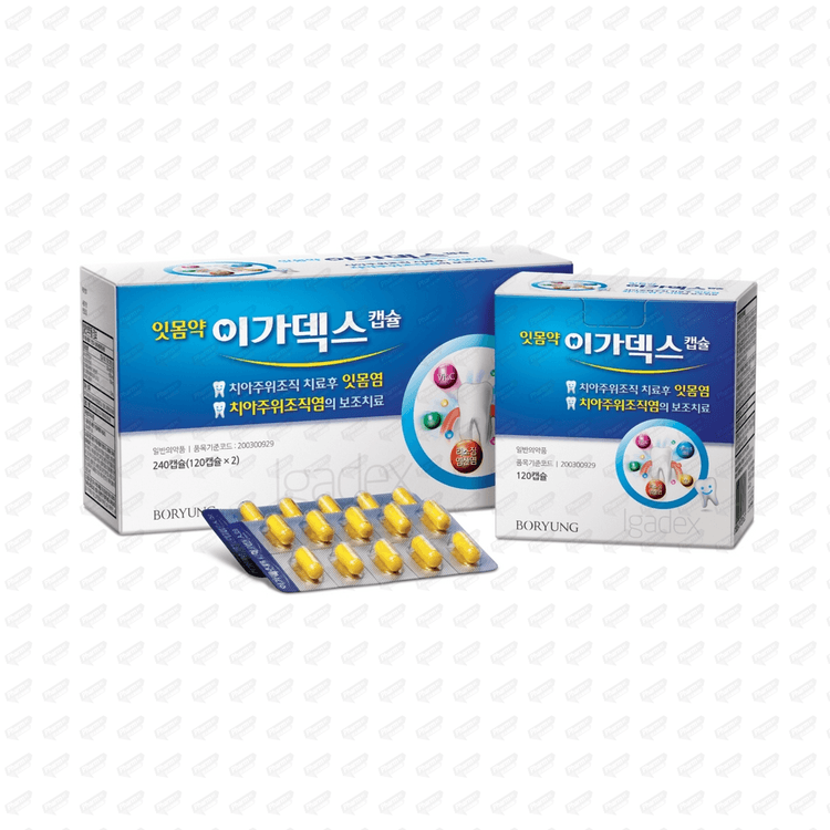 이가덱스 캡슐 120Cx2(PTP) 156mg /캡슐