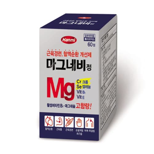 마그네비정 60T