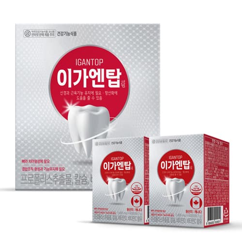 이가엔탑TOP
