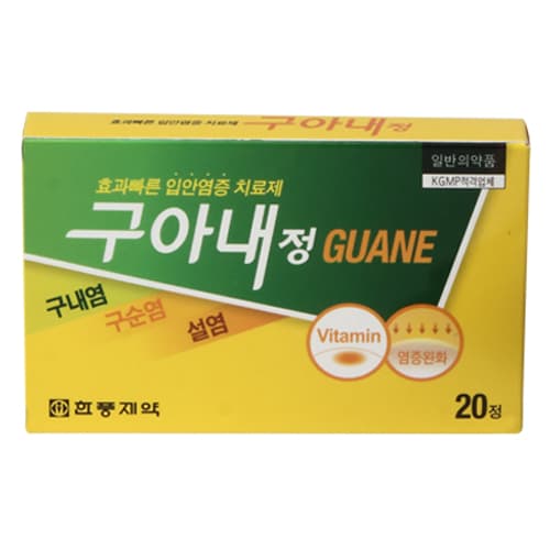 구아내정