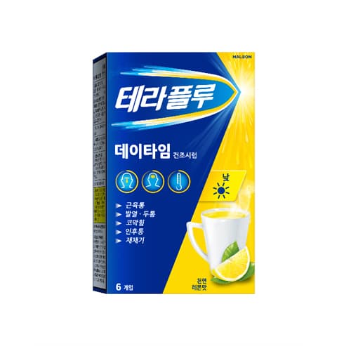 헤일리온_테라플루 데이타임
