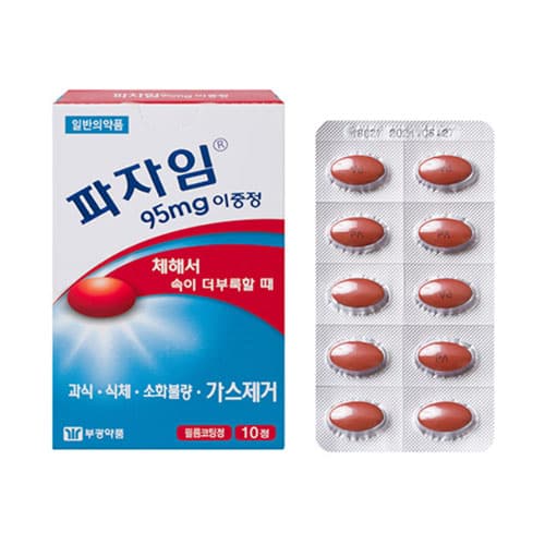 파자임 95mg 이중정