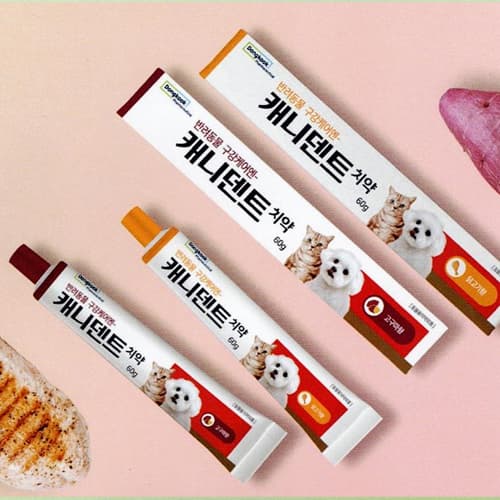 캐니덴트 치약