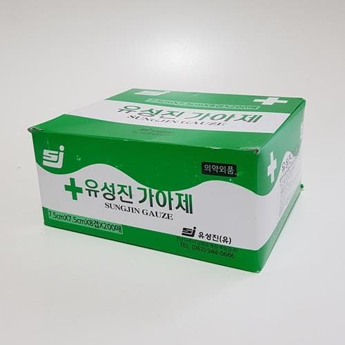 유성진 가아제