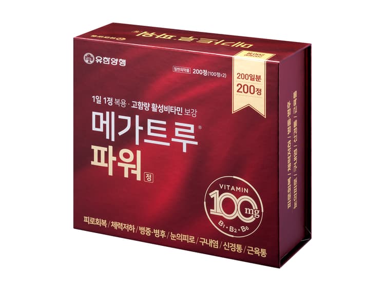 메가트루 파워 정