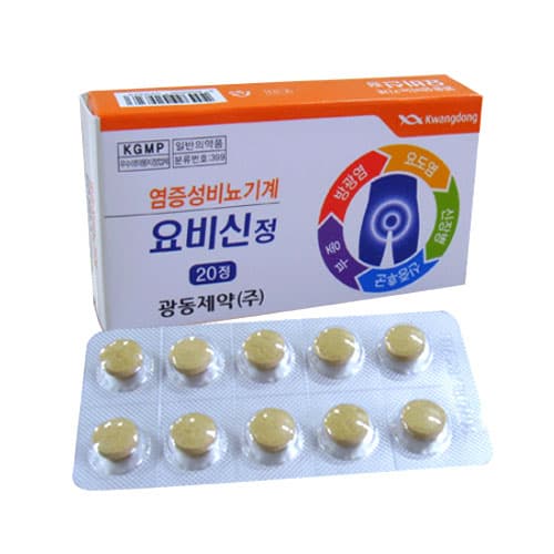 광동요비신정