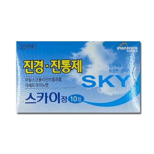 스카이 정
