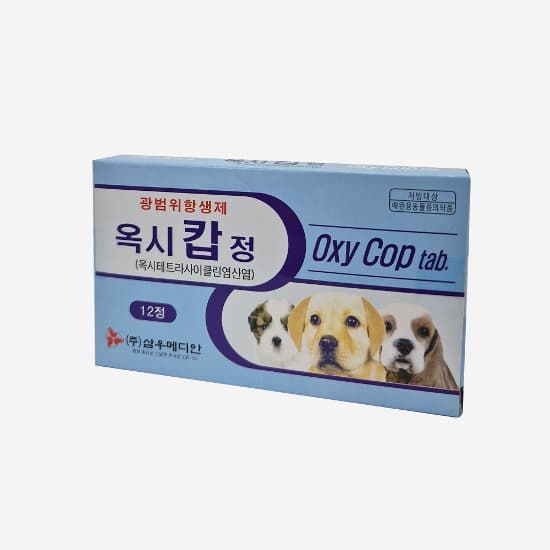 옥시캅정