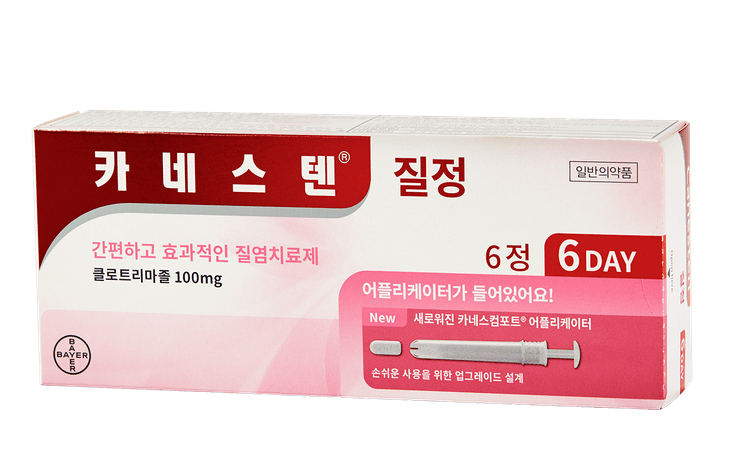 카네스텐 질정