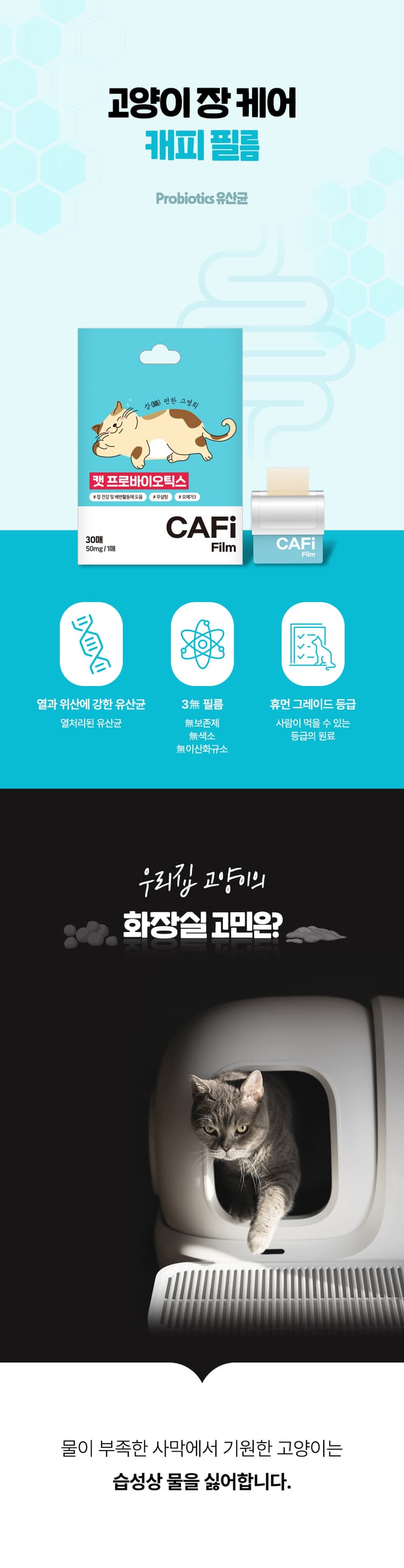 상세정보 1