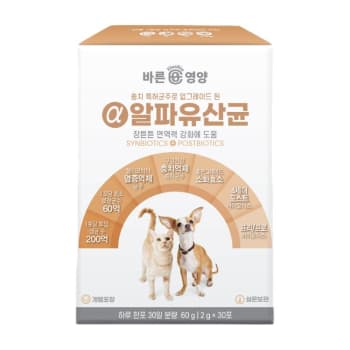 알파유산균