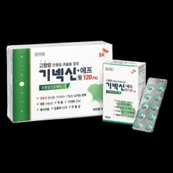 기넥신 에프 정 120mg
