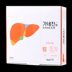 가네진 정