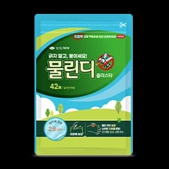 물린디 플라스타