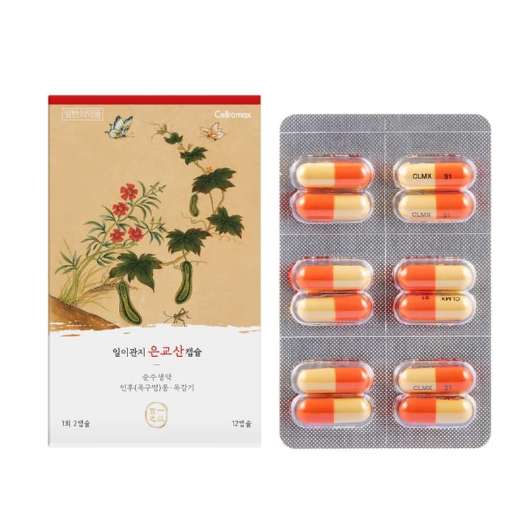 일이관지 은교산 캡슐