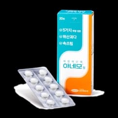 아네모 정