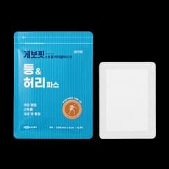 게보핏 스트롱 카타플라스마