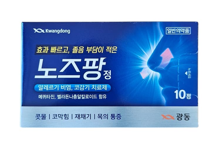 광동노즈팡정