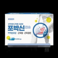 포박신 캡슐