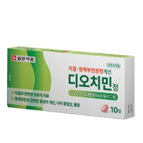 디오치민 정
