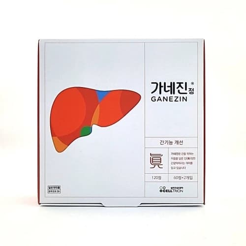 가네진 정