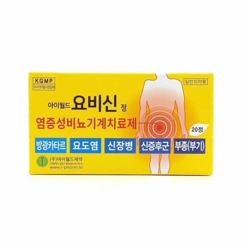 아이월드 요비신 정