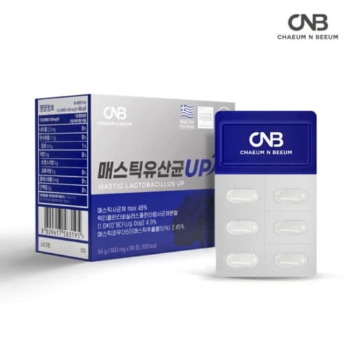채움앤비움 매스틱유산균UP