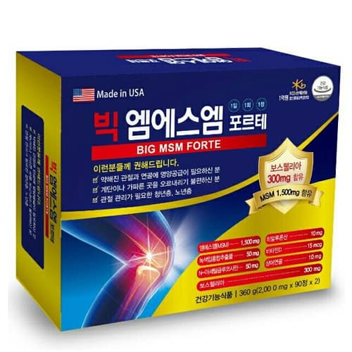 빅 엠에스엠 포르테
